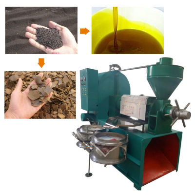 حار بيع التلقائي آلة ضغط الزيت الفولاذ المقاوم للصدأ الفول السوداني